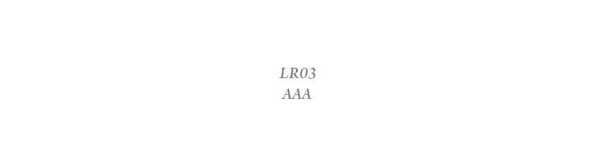 AAA / LR03 - NiMH, NiCD